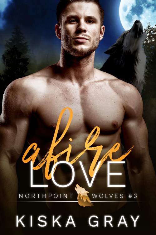 Afire Love Ebook